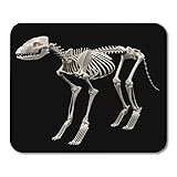 Semtomn Gaming Mouse Pad Anatomy Realistic 3D