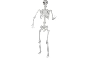 Halloween Skeleton, Realistic Life Size Skeleton with Movable Joints for Halloween Party Haunted House Indoor Outdoor Decorat