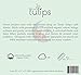 Three Tulips Crib Sheet, Fitted 100% Organic Jersey Cotton Knit 2 Pack Set - Stars, Clouds, Bears and Moons, Gift Box