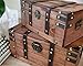 SLPR Alexander Wooden Treasure Chests - Set of 2, Antique Storage Trunks, Decorative Wood Storage Boxes with Hinged Lids for Keepsakes and Home Décor