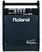 Roland PM-10 Personal Monitor Amplifier
