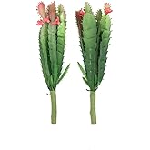 EBUYOM 2 PCS Mini Artificial Succulents Plants Unpotted Faux Cactus Fake Succulent Bouquet Arrangements Faux Plants DIY for Garden Decor Home Decoration Greenery Set (Mini Cactus)