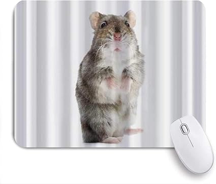 Amazon Ninehasa 可愛いマウスパッド 驚いたジャンガリアンハムスターかわいい小動物 ノンスリップゴムバッキングコンピューターマウスパッドノートブックマウスマット Ninehasa マウスパッド 通販