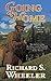 Going Home: A Barnaby Skye Novel (Skye's West, 11)
