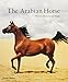 Arabian Horse: Mystery, History and Magic