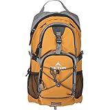 TETON Sports Oasis 1100 2 Liter Hydration Backpack; Day Pack Perfect for Hiking, Running, Cycling, Biking, Climbing, and Hunting; 2 L Water Bladder Included; Sewn-in Rain Cover; Orange