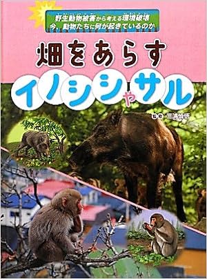 畑をあらすイノシシやサル 野生動物被害から考える環境破壊 今 動物たちに何が起きているのか Shingo Miura Amazon Com Books 畑をあらすイノシシやサル 野生動物被害から考える環境破壊 今 動物たちに何が起きているのか Shingo Miura Amazon Com Books