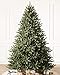 Balsam Hill 7.5 ft Unlit Classic Blue Spruce - Artificial Christmas Tree with 2,960+ Tips, Premium Stand, Storage Bag & Easy Assembly for Indoor Holiday Decorating