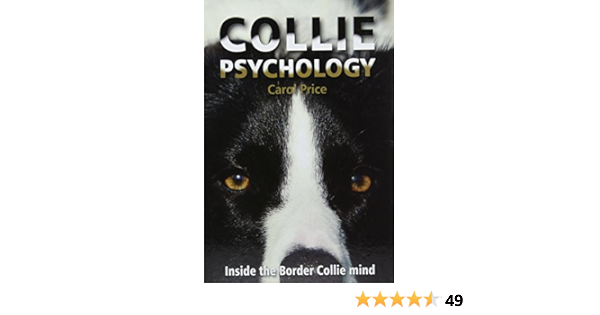 carol price border collie