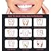 Tenozek 7 PCS Dental Tools Stainless Steel Dental Hygiene Kit, Dental Pick,Tooth Scraper Plaque Tartar Remover, Teeth Cleaning Tools for Oral Care&Pet Use Black