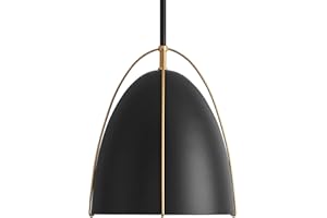 FookChak Black Dome Pendant Light 10in 1-Light Kitchen Pendant Lighting Egg-Shaped Black Gold Pendant Light Fixture for Kitchen Island, Dining Room,Kitchen Sink,Bar,10in，E26