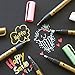 Mincho Metallic Marker Pens, Set of 10 Assorted Colors Paint Pen for Scrapbooking Crafts, DIY Photo Album, Art Rock Painting, Card Making, Metal and Ceramics, Glass - Medium Bullet Tip