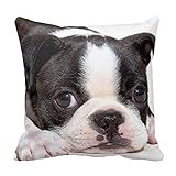 Black and White Boston Terrier Throw Pillow Cover Home Cushion Case Decorative Animal Pattern for Sofa 18 X 18 Inch Two Sides