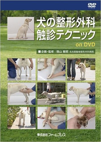 犬の整形外科触診テクニックondvd 陰山 敏昭 本 通販 Amazon