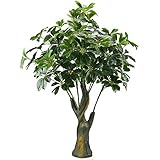 GTidea 3.3 Feet Artificial Fortune Tree Silk Plants Real Touch Soft Lush Leaves Home Office Arrangements Indoor Outside Greenery Decor