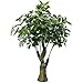 GTidea 3.3 Feet Artificial Fortune Tree Silk Plants Real Touch Soft Lush Leaves Home Office Arrangements Indoor Outside Greenery Decor