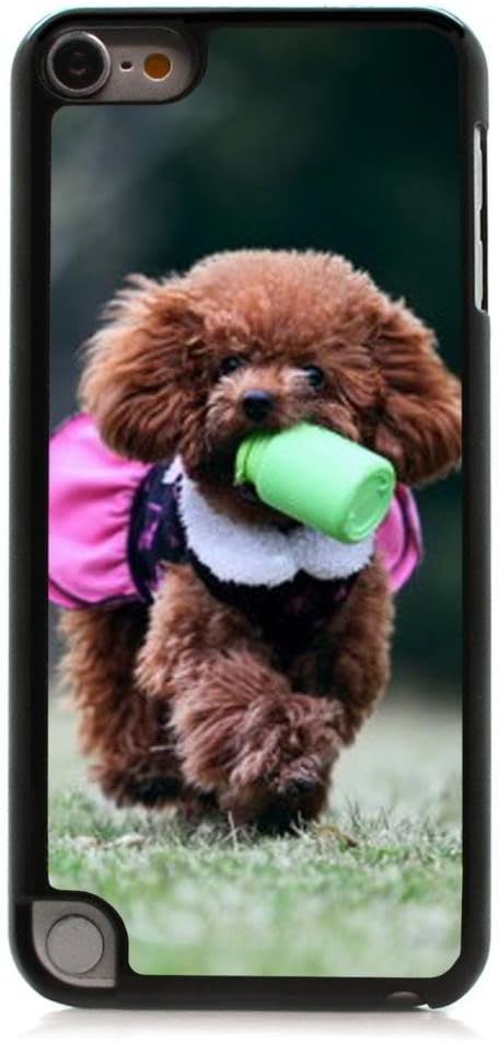 HeartCase Hard Case for Apple itouch 5g 5th Generation ( Toy poodle Dog )