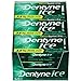 Dentyne Ice Spearmint Sugar Free Gum - 9 Packs of 16 Pieces!