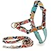 PetSafe EWH-C-HC-M/L-DNT Easy Walk Chic Harness, Medium/Large, Donuts