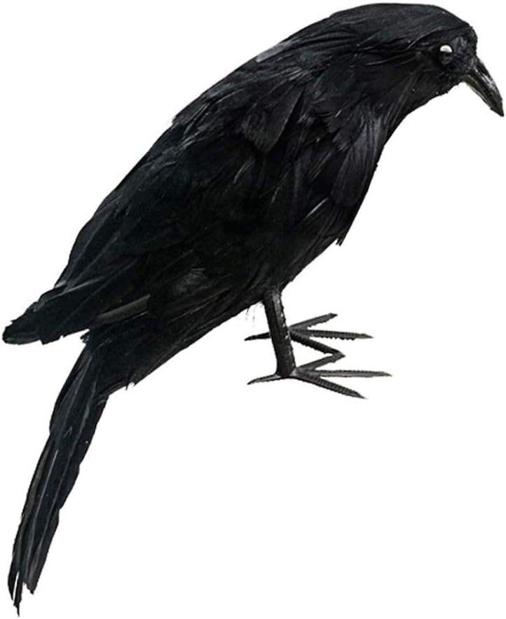 Best Dancing Birds Lawn Ornaments