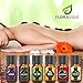 Essential Oils Gift Set: French Lavender, Tea Tree, Eucalyptus, Lemongrass, Sweet Orange, Peppermint | 100% Organic Natural Formula