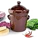 TSM Products Polish Fermenting Crock with Stone Weights, 5 L, Burnt Sienna