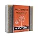 Plantlife Sandalwood Bar Soap - Moisturizing and Soothing Soap for Your Skin - Hand Crafted Using Plant-Based Ingredients - Made in California 4oz Bar
