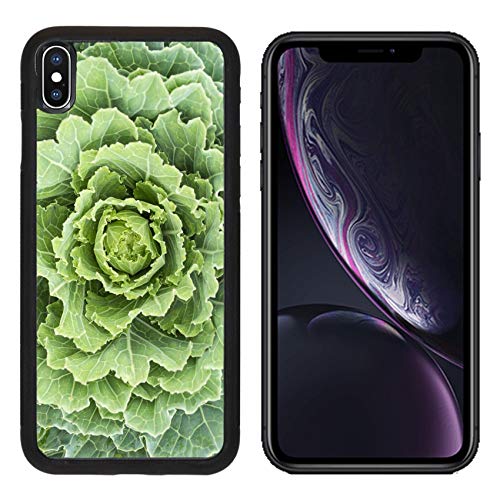 Luxlady Apple iPhone XR Case Aluminum Backplate Bumper Snap Cases Image ID: 24430749 A Green Ornamental Cabbage Flower
