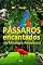 Livro Pássaros Encantados