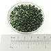 Picasso Olivine Trans 20 Grams Miyuki Round Rocailles 6/0 Glass Seed Bead Approx 20 Gram Tube