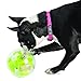 Outward Hound Orbee-Tuff Mazee Interactive Dog Puzzle Toy, Treat Dispensing Slow Feeder Ball, Pink, 4.7-Inch