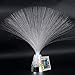 Playlearn Fiber Optic Lamp Color Changing Crystal Base with Remote - 13 Inch - Fiber Optic Centerpiece Sensory Light