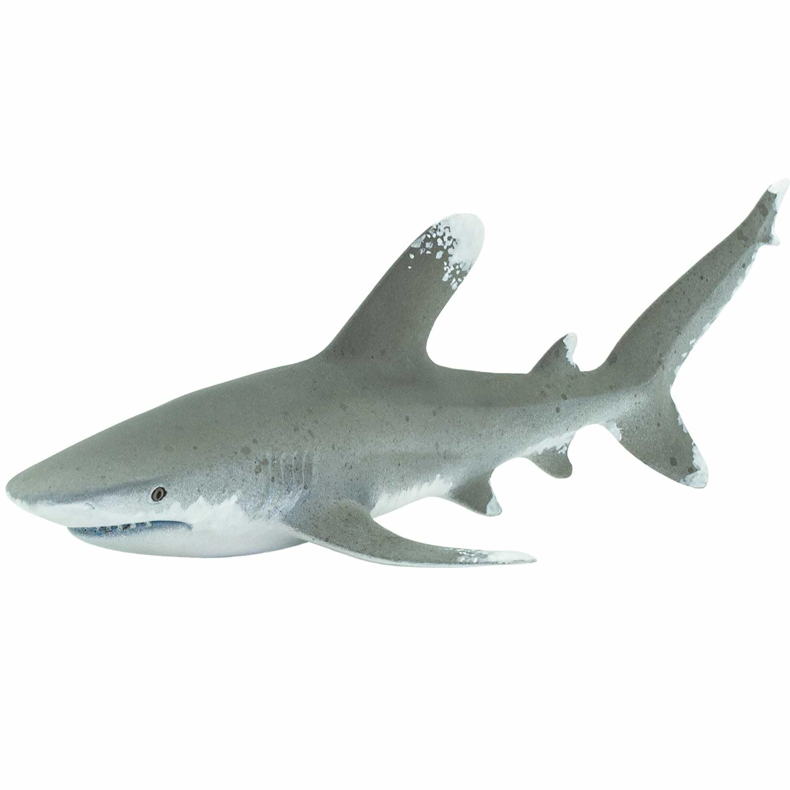 Safari - Shark White Tip Ocean Animals, Multicoloured (S100271)