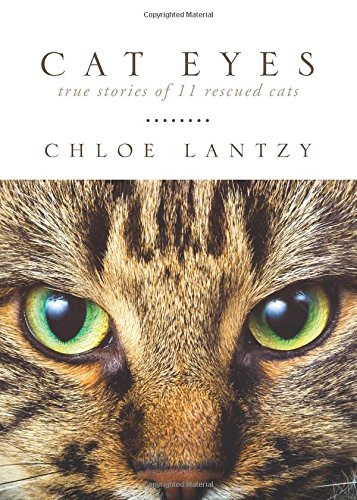 Cat Eyes by Chloe Lantzy