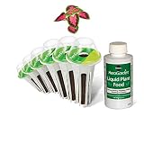 AeroGarden Colorful Coleus Flower Seed Pod Kit