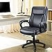 Mysuntown Executive Office Chair, PU Leather Swivel Managerial Task Chair, Ergonomic High Back Home Office & Desk Chair with Lumbar Support(260lb)