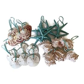 Beach Seashell and Starfish Christmas Tree Ornament Package (Standard Seashell Package) 51dEg0MI87L. SS280