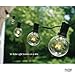 Fulton Illuminations G40 Globe Lights Outdoor/Indoor String Lights with 50 Sockets and Bulbs, 50 Feet with 10 Extra Bulbs - Weather Resistant Light String for Patio, Deck, Backyard, Wedding, and More