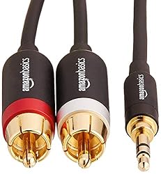 Amazon Basics 3.5mm to 2-Male RCA Adapter Audio