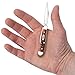 Case WR XX Pocket Knife Pocket Worn Harvest Orange Bone Peanut Item #7404 - (6220 SS) - Length Closed: 2 7/8 Inches