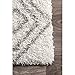 nuLOOM OZSG18A Shag Rug, 4' X 6', White