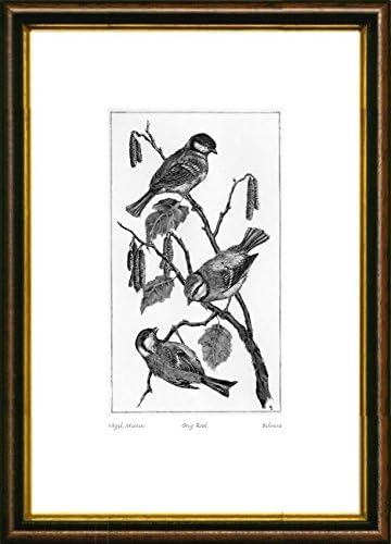 Single-colored hand-crafted etching Vögel, Meisen (Germany) by Behrens in a brown-gold frame, graphics, art design, art print