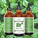 Basil Oil - 100% Pure and Natural - 4 Oz. with Glass Dropper - Therapeutic Grade - Excellent for Removing Bacteria, Purifying Air, Aromatherapy, Massage, and Ear Infections by Essential Oil Labs