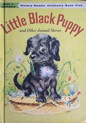 little black puppies