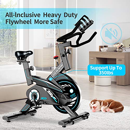 l now indoor cycling bike trainer belt drive and sturdy