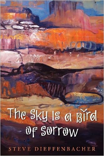 The Sky Is A Bird Of Sorrow Dieffenbacher Steve Amazon Com Books