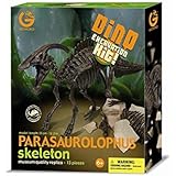 恐竜骨格標本発掘キット  パラサウロロフス