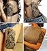 DaLin Large Temporary Tattoo Stickers, 4 Sheets (Contemplative Lion)