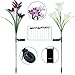 Adamluvs Solar Lights Outdoor,Solar Flowers, Solar Flower Stake Lights,Color Changing Solar LED Flower Lights with 12 Pcs Butterfly Stakes for Garden, Patio, Backyard Decorating (Purple & White)