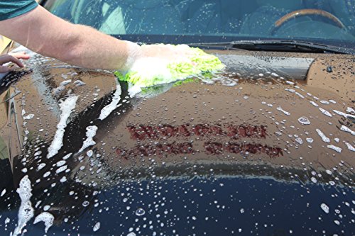 4 Blackfire+Wash+Wax+32+oz